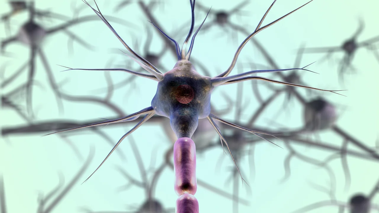Close-up illustration of neurons and nerve connections