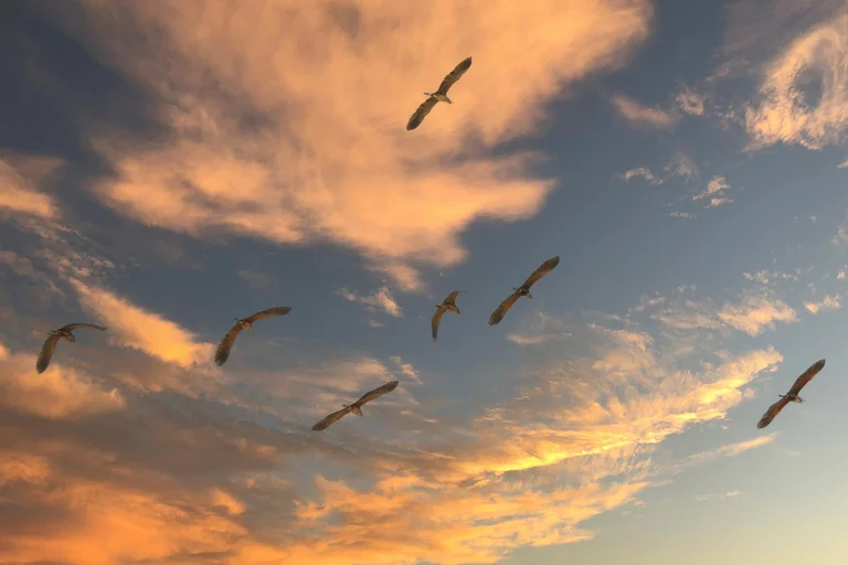 Migratory birds flying across a cloudy sky