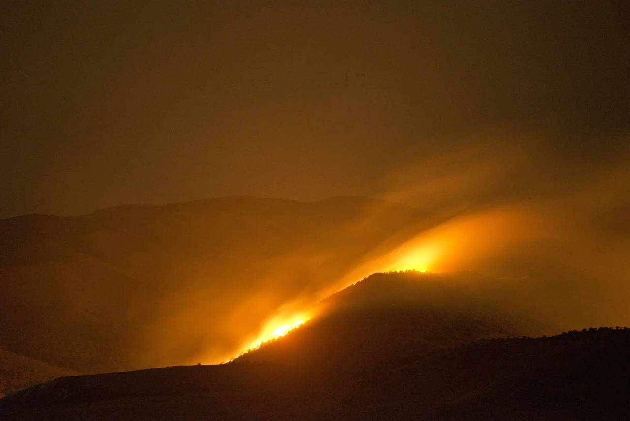 wildfire, forest fire, fire