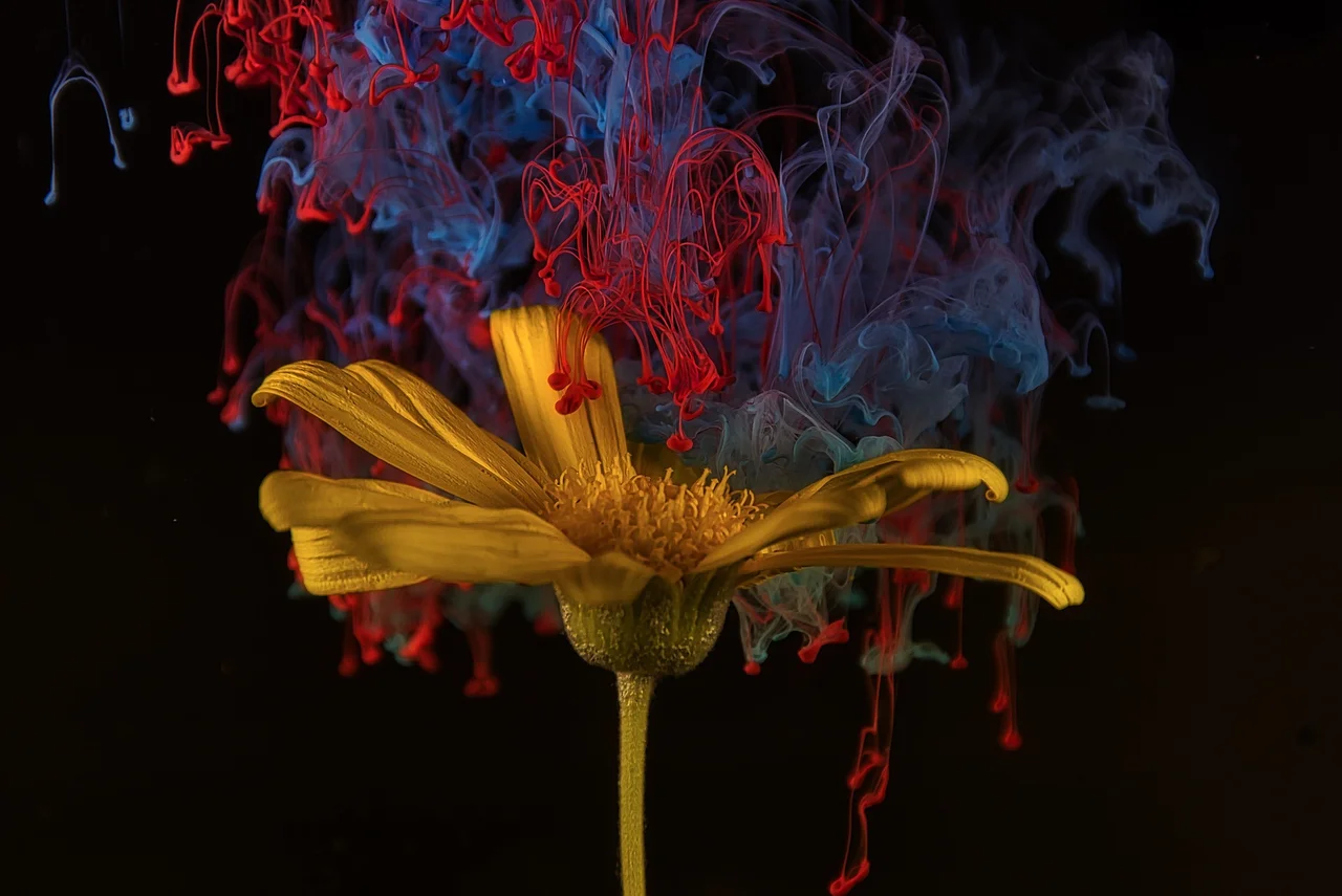 花、墨、抽象