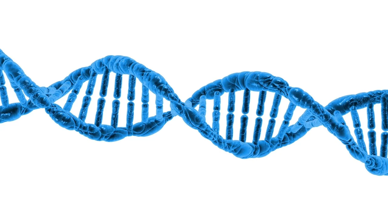 dna, biology, science